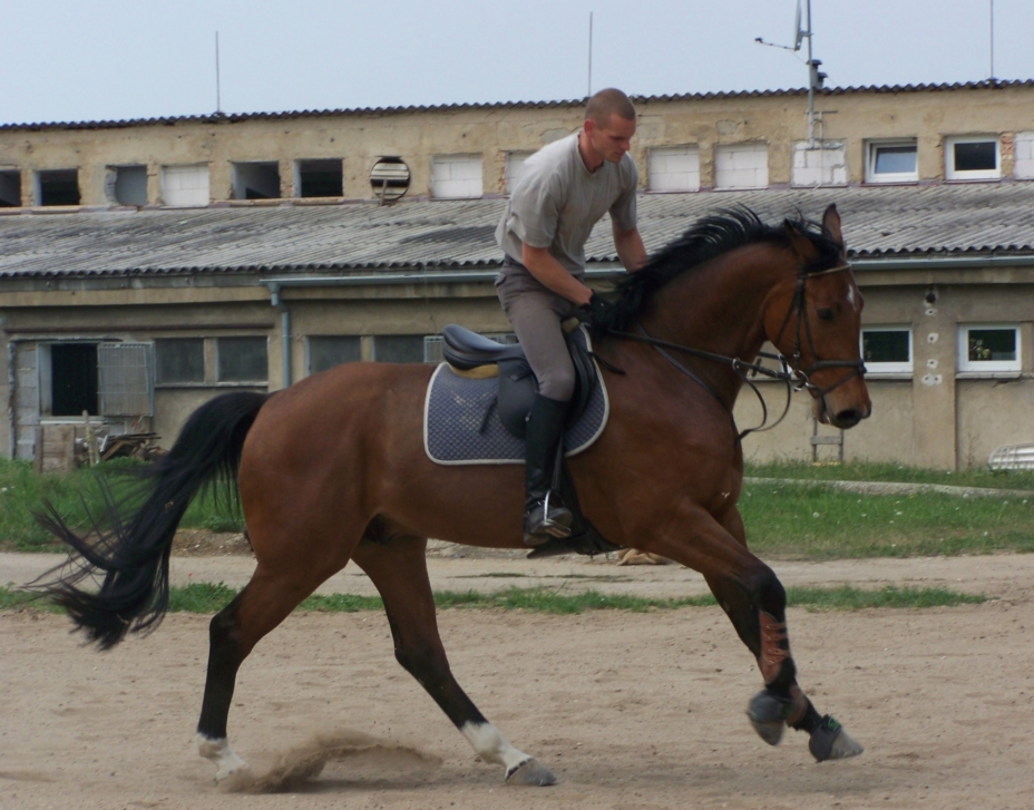 Valášek a Pavel.JPG